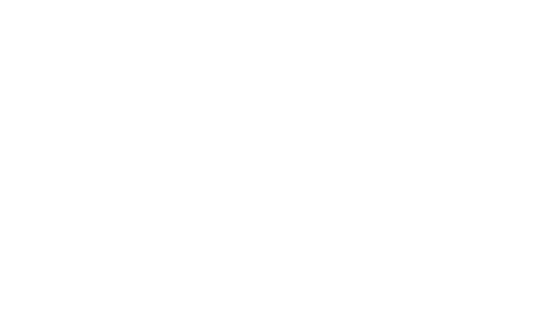 Born to Be a Scout Logo